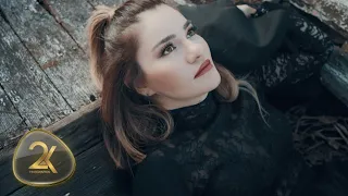                        دندنها