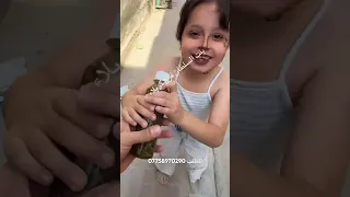 موج باكت زيت وشردت 