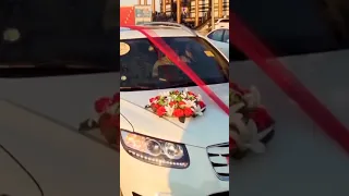 اعرست بالخير والنور زفه يمنيه عود صنعاني زفة العريس يعقوب الشاعري اغنيه باسم يعقوب عرس يعقوب 