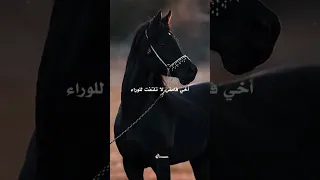 اخي فمضي لا تلتفت اناشيد اسلاميه  اخي فمضي لا تلتفت اناشيد اسلاميه