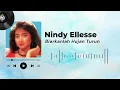 Download Lagu Nindy Ellesse - Biarkanlah Hujan Turun