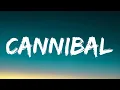 Download Lagu Kesha - Cannibal (Lyrics)