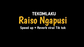 Download Raiso Ngapusi - speed up + reverb viral Tik tok MP3