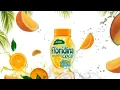Iklan Floridina Orange Coco