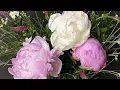 Download Lagu Vera Kavura: Realistic Flowers in Pastel (Trailer)