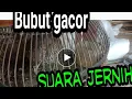 Download Lagu Bubut lombok super gacor