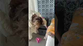             دندنها