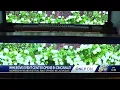 Immersive event center in Cincinnati boasts second-largest LED installation in U S