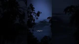 طلعت وراك سيد سلام الحسيني حسينيات زياره الاربعين 