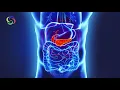 Download Lagu Gallbladder Pain Relief |  Organ | 164.3Hz |  Monaural | Gallbladder Healing