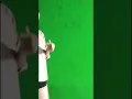 Mentahan green screen cewe joged tiktok