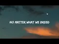 Imagine Dragons - Demons (Lyrics)