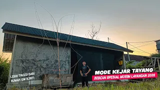 MODE NGEBUT! Beresin Proyek Layangan Bebean Klasik 350 cm Spesial Musim Layangan 2026