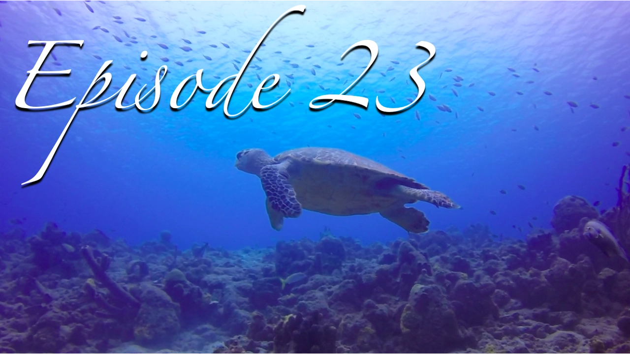 DIVING BONAIRE  WARNING: Pervasive and Extensive Scuba Content! [Sailing Zatara Ep 23]