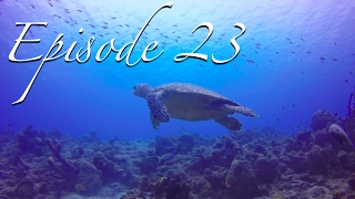 DIVING BONAIRE  WARNING: Pervasive and Extensive Scuba Content! [Sailing Zatara Ep 23]