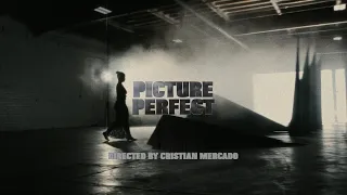 PICTURE PERFECT