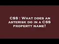 CSS What does an asterisk do in a CSS property name