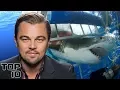 Download Lagu Top 10 Celebrities Who Almost Lost Their Life