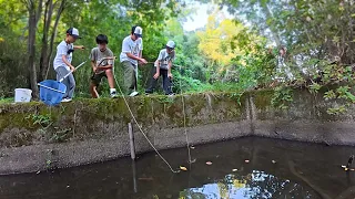 放置された池のヌシを釣ってしまった