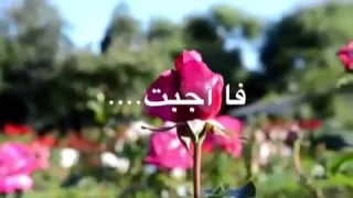 سألونى ماذا تعلمت من السنين اللتى مضت      دندنها