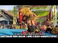 Download Lagu Bantengan Suro Malam 1 Suro❗Jaranan ROGO SAMBOYO PUTRO Live Sukorejo Pondok Agung Kasembon Malang