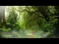 Download Lagu 2 Hours of Fantasy Free Music for Druid Meditation, Relaxing, Sleep