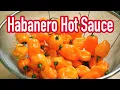 Download Lagu Turning one pound of HABANEROS into HOT SAUCE with the INSTANT POT