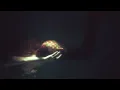Download Lagu BANSHEE - GET ME OUT OF THIS CLUB (OFFICIAL VIDEO)