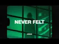 Download Lagu Ondi Vil x juli - never felt a thing (Lyrics)