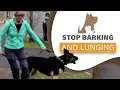 Download How to STOP your dog barking/ lunging at visitors & dogs; aggression mp4 3gp mp3 videos - waplic