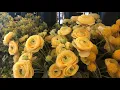 Hobby Lobby Rose Collection Home Decor Bouquet Flower Decor Arrangement