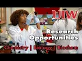 Science Research Opportunities for Undergraduates at UIW