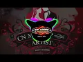 Download Lagu DJ paradis CN audio