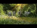Download Lagu Lana Del Rey - Radio (sped up)
