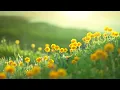 Download Lagu Beautiful Instrumental Hymns, Peaceful Music,  Piano \u0026 Flute \