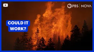This Ancient Practice Could Prevent Wildfires | NOVA | PBS