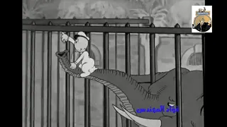 رايح اجيب الديب من ديله دندنها