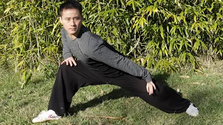 Ba Duan Jin Qigong 八段锦气功