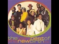 New Birth - Wildflower
