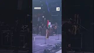 Glastonbury Artists Who Came Out In Support Of Palestine 