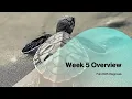 Diagnosis Fall 2025 Week 5 Overview