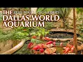The Best Worst Aquarium I ve Been To Full Tour Review