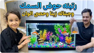 رتبنا حوض السمك وشترينا حصو الوان 