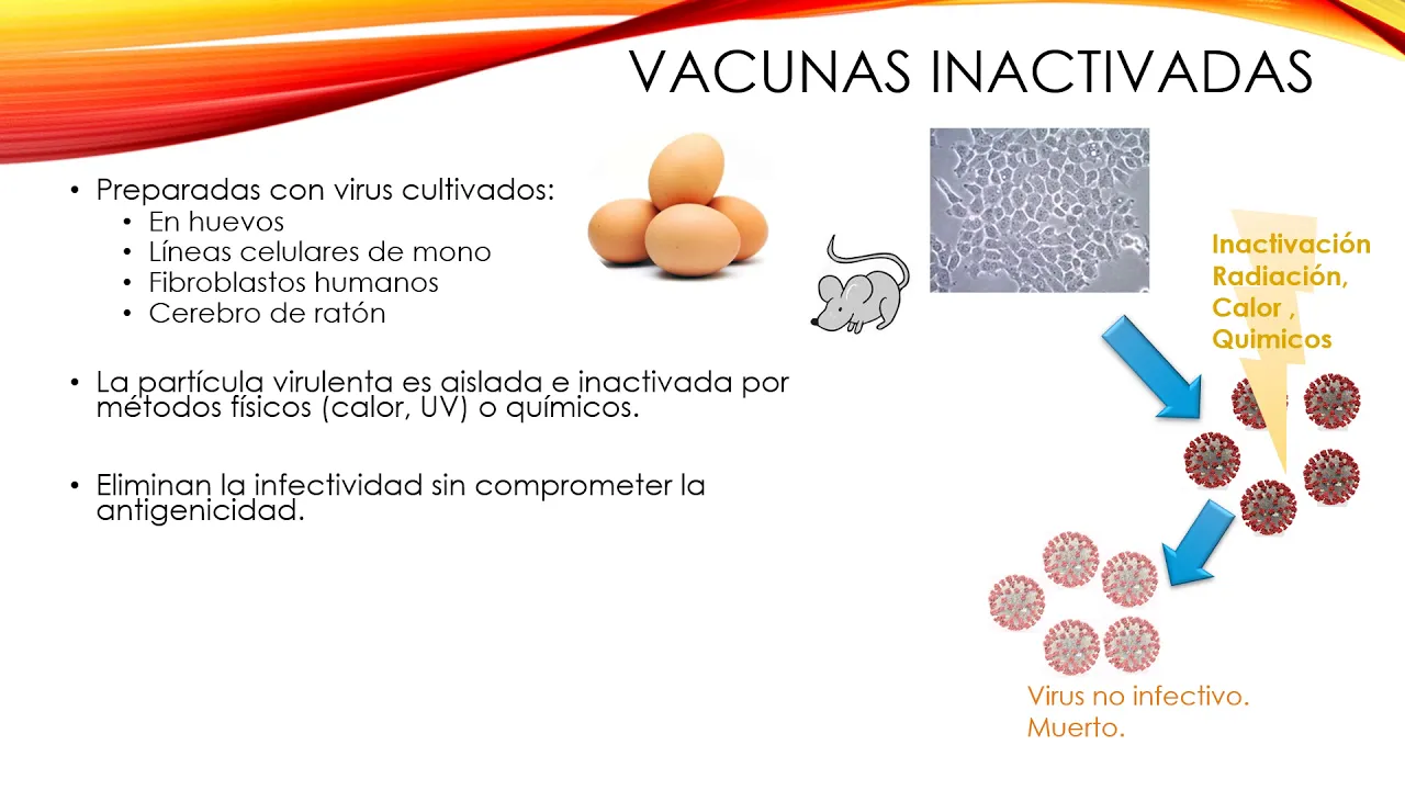 Vacunas Tradicionales: a virus Inactivado y a virus Atenuado.