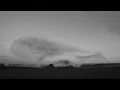 Bruno Major - Places We Won't Walk