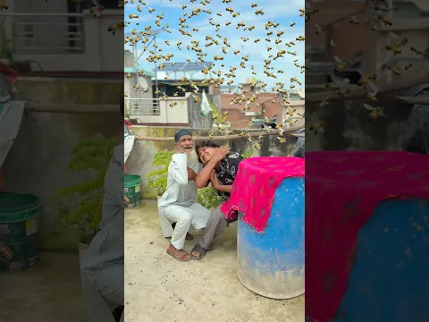 मधुमक्खी ने हमला किया 😨| #shortvideo #trending #entertainment #motivation ￼