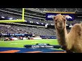 GEICO Hump Day Camel - Game Day Fox Sports Sideline Reporter