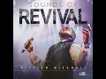 Spirit Break Out (feat. Trinity Anderson) - William McDowell