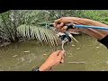 Download Lagu Rejeki Hari ini !!! Mancing Ikan Kakap Putih Besar