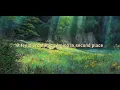 Co-pathetic - Novo amor (slowed & reverbed)